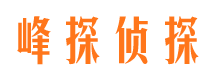 海珠市侦探调查公司